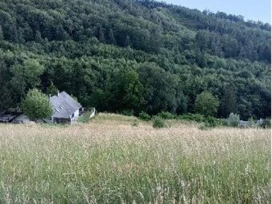 Traumhaftes Grundstück nahe Neulengbach/Altlengbach