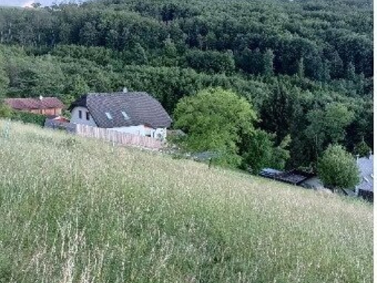 Traumhaftes Grundstück nahe Neulengbach/Altlengbach