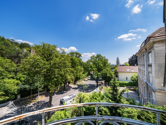 Historische Villa mit Studie für Ausbauprojekt in Grinzinger Bestlage