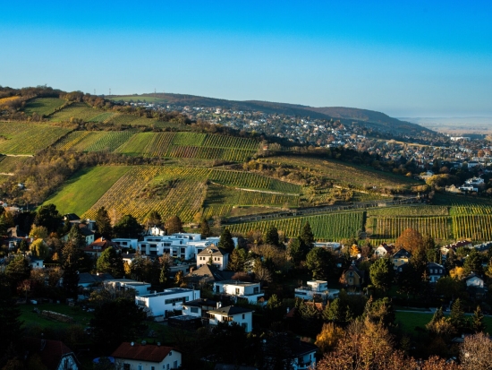 Traumhaftes Grundstück mit Bebauungstudie, Nähe Kahlenberg