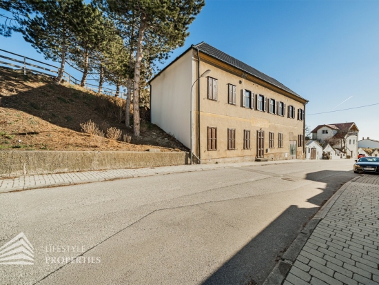 Geräumiges 6-Zimmer Haus mit loftähnlicher Wohnung in Jois am Neusiedler See