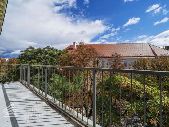 Grand Park Residence: Herrschaftlicher 6-Zimmer Altbau mit Weit- und Grünblick