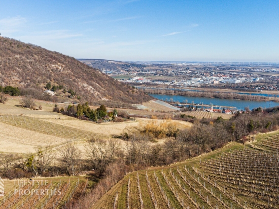 Prominenter Weingarten mit Blick auf die Leopoldskirche