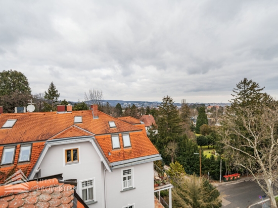 Exklusives, möbliertes Penthouse mit Dachterasse, Nähe Lainzer Tiergarten