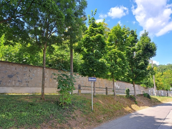 Zentral begehbare 2-Zimmer Wohnung, Nähe Bahnhof Hütteldorf