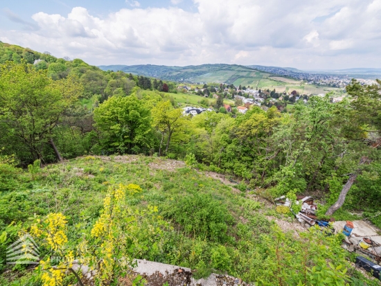 Traumhaftes Grundstück mit Bebauungstudie, Nähe Kahlenberg