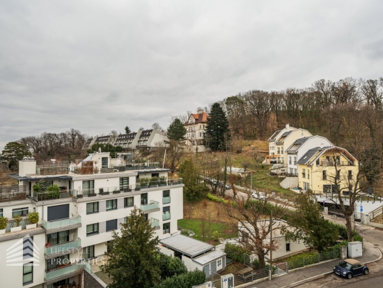 Exklusives, möbliertes Penthouse mit Dachterasse, Nähe Lainzer Tiergarten