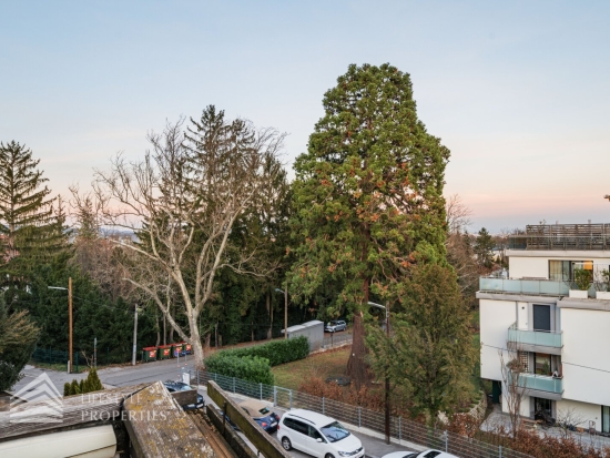 Exklusives, möbliertes Penthouse mit Dachterasse inklusive einer Regelgeschoßwohnung mit Balkon und Veranda