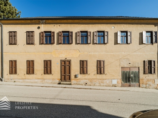 Geräumiges 6-Zimmer Haus mit loftähnlicher Wohnung in Jois am Neusiedler See