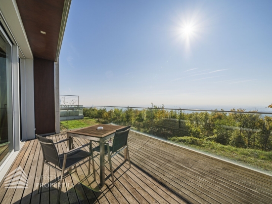 Einzigartiger Blick über Wien! Garconniere mit Terrasse am Kahlenberg