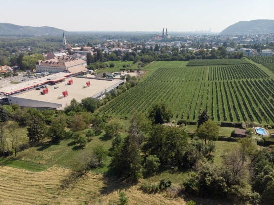 Großartiges Grundstück mit Baubewilligung in Ruhelage, Nähe Ölberg