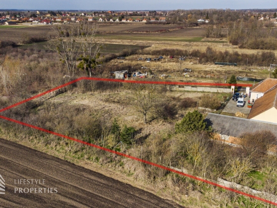 Einfamilienhaus mit großem Garten