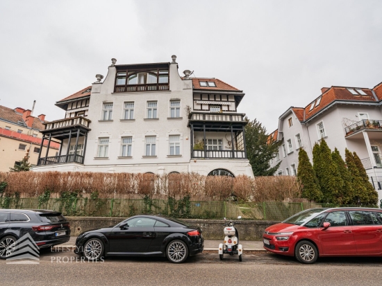 Exklusives, möbliertes Penthouse mit Dachterasse, Nähe Lainzer Tiergarten