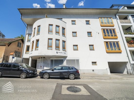 3-Zimmer Maisonettewohnung mit Dachterrasse in Döbling