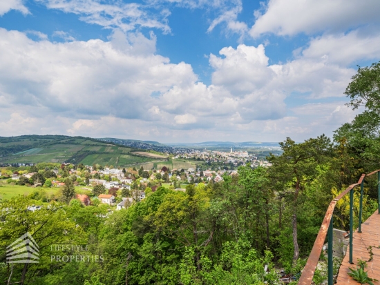 Traumhaftes Grundstück mit Bebauungstudie, Nähe Kahlenberg