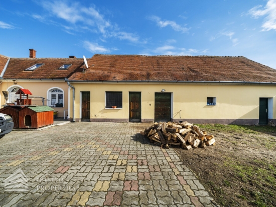 Einfamilienhaus mit großem Garten