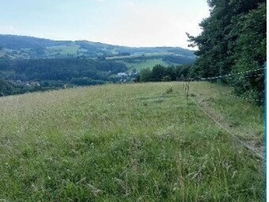 Traumhaftes Grundstück nahe Neulengbach/Altlengbach