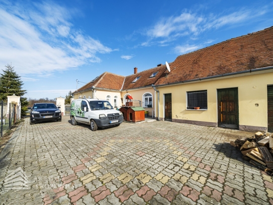 Einfamilienhaus mit großem Garten