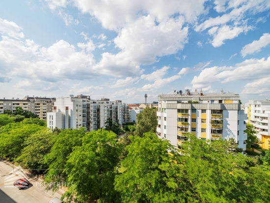 Exklusive 3-Zimmer Loftwohnung mit großem Balkon, Nähe Puchsbaumpark