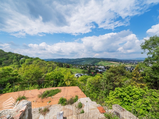 Traumhaftes Grundstück mit Bebauungstudie, Nähe Kahlenberg