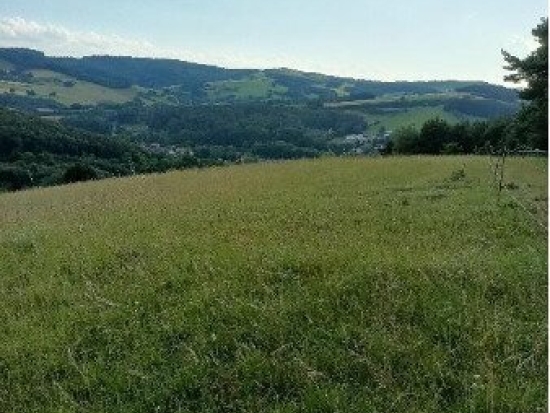 Traumhaftes Grundstück nahe Neulengbach/Altlengbach