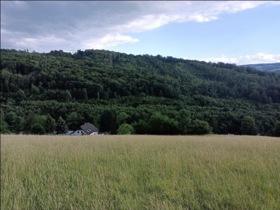 Traumhaftes Grundstück nahe Neulengbach/Altlengbach