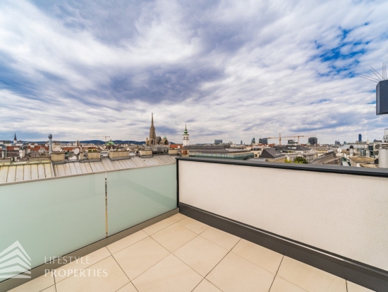 Erstbezug! Exklusive 5-Zimmer-Dachterrassenwohnung, Nähe Stephansplatz