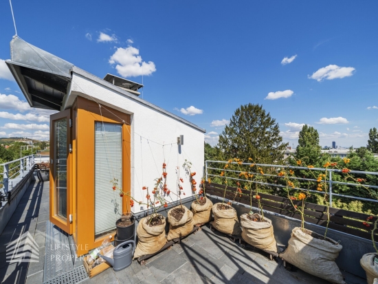 3-Zimmer Maisonettewohnung mit Dachterrasse in Döbling