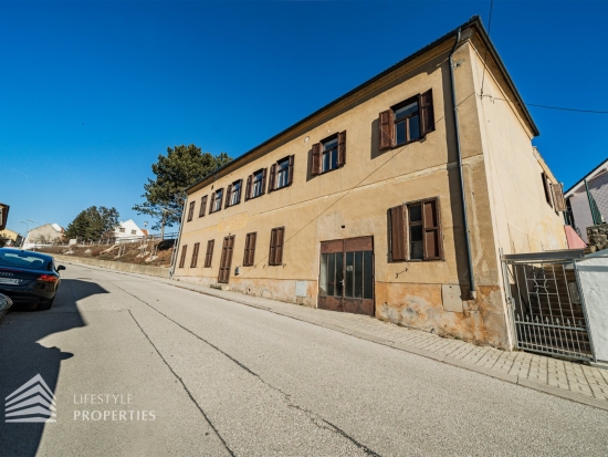 Geräumiges 6-Zimmer Haus mit loftähnlicher Wohnung in Jois am Neusiedler See