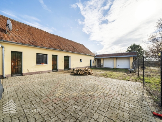 Einfamilienhaus mit großem Garten