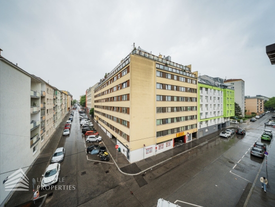 Traumhaft sanierte 4-Zimmerwohnung nähe Fortunapark