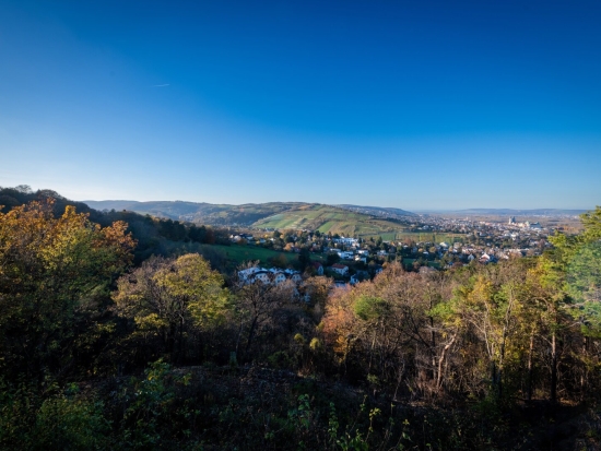 Traumhaftes Grundstück mit Bebauungstudie, Nähe Kahlenberg