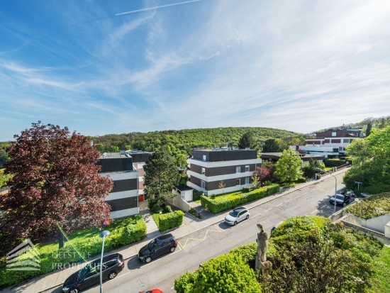 Erstbezug! Luxuriöse 4-Zimmer Traumwohnung mit Loggia und Poolzugang, Nähe Pötzleinsdorfer Schlosspark