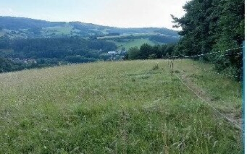 Traumhaftes Grundstück nahe Neulengbach/Altlengbach